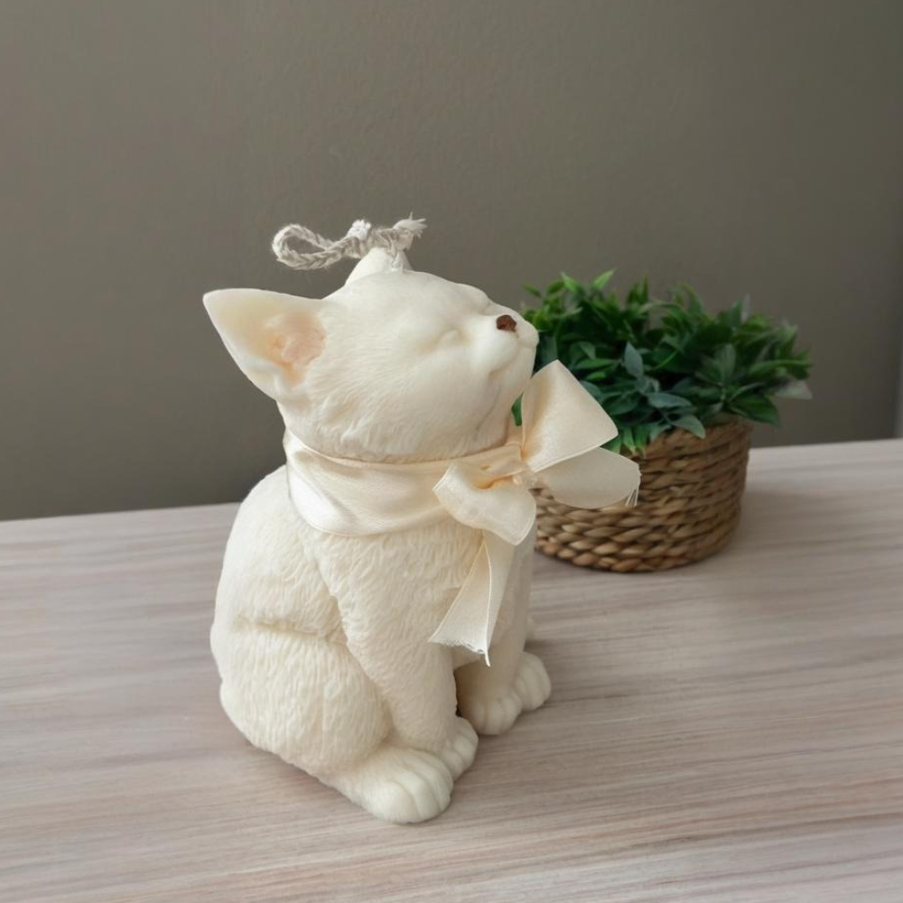 Moule en Silicone pour chat so - Soap Making Equipment For Beginners avis et prix