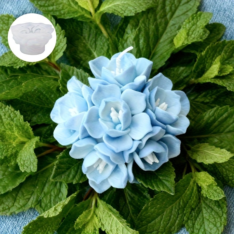 1 moule en silicone pour bougi - Soap Making Organic avis et prix