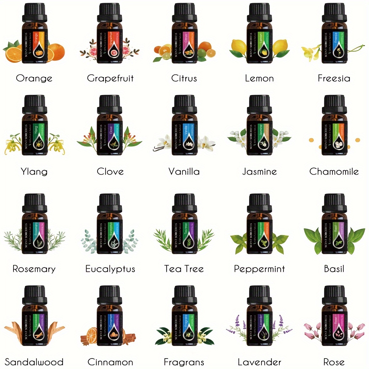 Ensemble de 20 huiles essentie - Soap Making Scents avis et prix